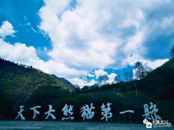 组合解散事业跌入谷底,如今又凭空而起,付辛博是怎样“复火”的