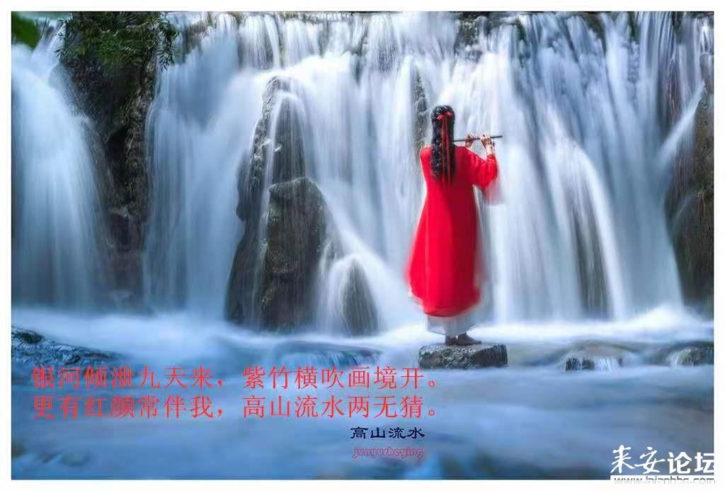 沙漠前行
