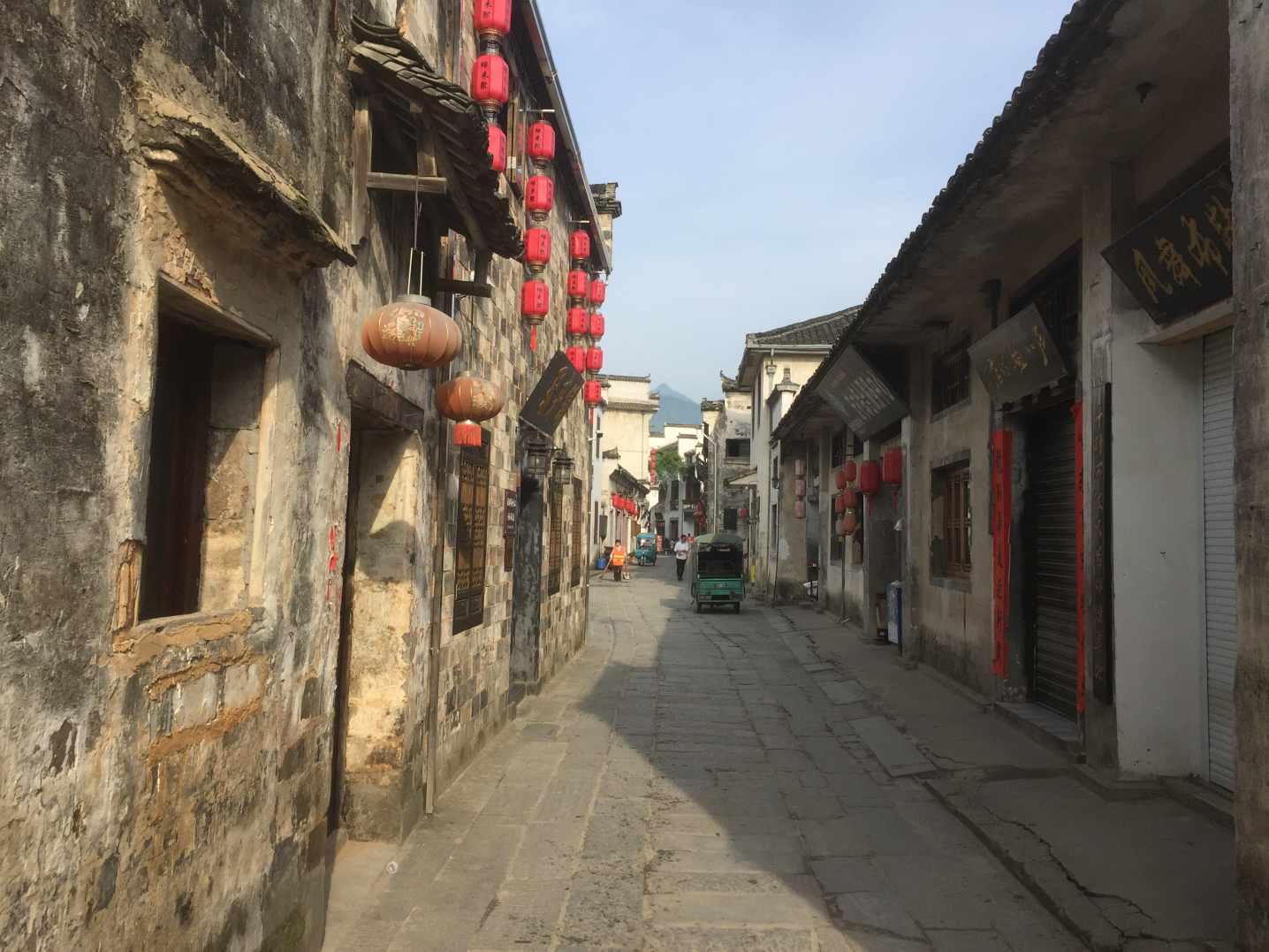 搭好遮阴棚，让平地露天种植的兰花安全过冬